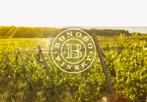 Saturday afternoon wine tasting with Bonobo Winery @ Cellar 152 | Elk Rapids | Michigan | United States